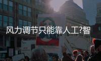 快排公司十年历程，霸屏兔 seo 的崛起与坚守