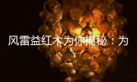 风雷益红木为你揭秘	
：为何红木家具这么贵?