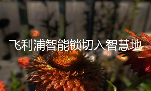 时代德施曼、飞利其实