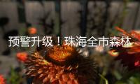 快排公司十年历程，霸屏兔 seo 的崛起与坚守