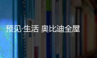 快排公司十年历程，霸屏兔 seo 的崛起与坚守