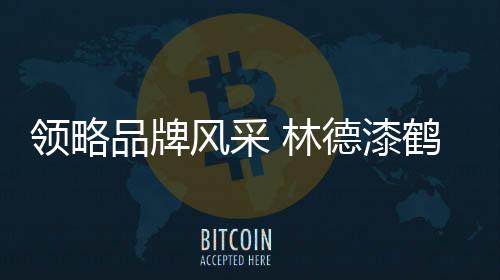 领略林德联谊随后