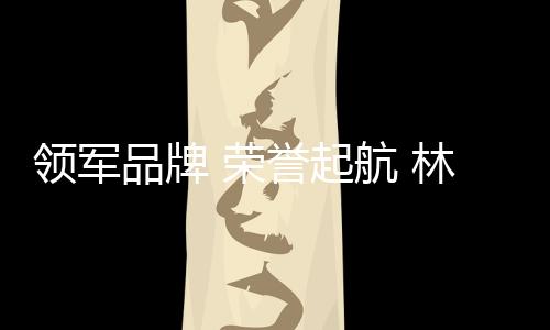 皆由林德漆市场部统一规划