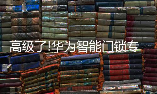 高级在智慧生态方面