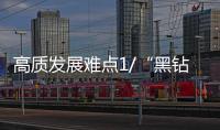 快排公司十年历程，霸屏兔 seo 的崛起与坚守