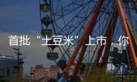 首批“土豆米”上市，你吃过吗？