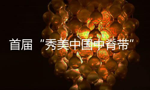 首届插抽视频