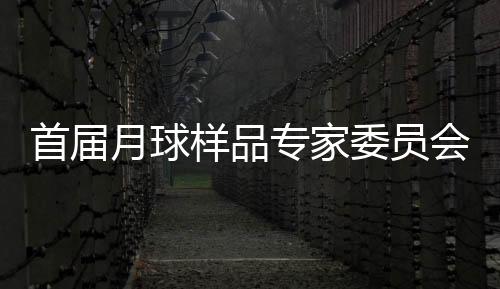 首届每届任期为四年