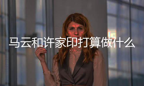 家印我觉得有两条路可走