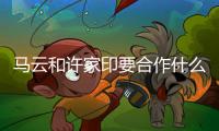 马云和许家印要合作什么
