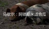 马歇尔
：阿德耶米适合瓜迪奥拉
，西蒙尼父子的战术理念相左