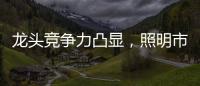 龙头竞争力凸显，照明市场竞争格局高度分散，流量竞争日趋激烈