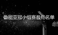 鲁能亚冠小组赛最终名单：费莱尼顶替了格德斯