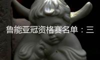 鲁能亚冠资格赛名单	：三外援领衔 费莱尼无缘