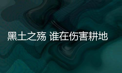 记者在这里看到