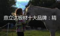 鼎立达板材十大品牌：精品滑轨火热上市