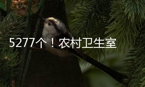 生室生病只能听天由命