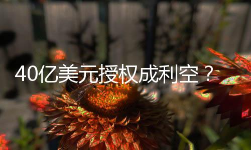 提高其海外的利空商业化价值