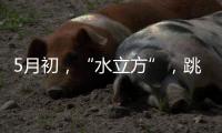 5月初
，“水立方”，跳水“梦之队”全主力出击
！
