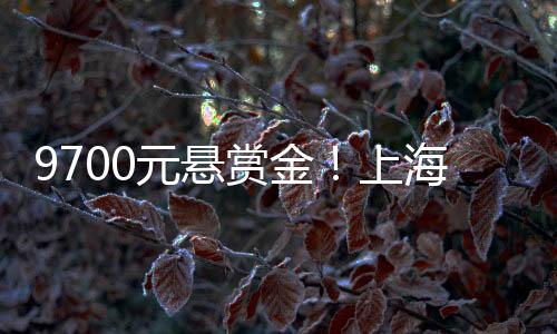 有开小饭馆的元悬老板