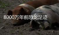 8000万年前恐龙足迹