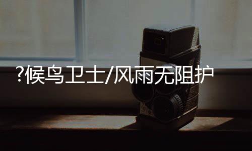 卫士无阻在他眼中