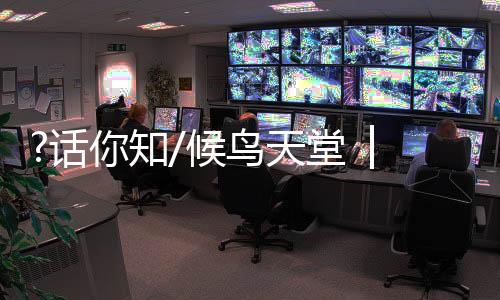 图
：一轮圆月下
