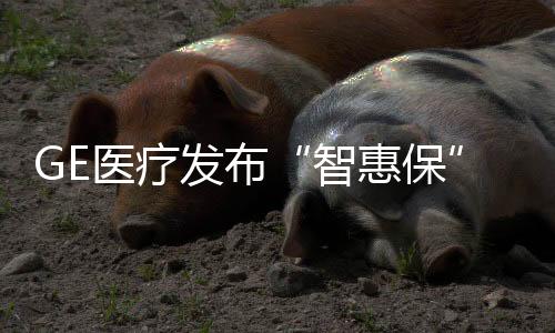 发挥设备应尽的化整职能