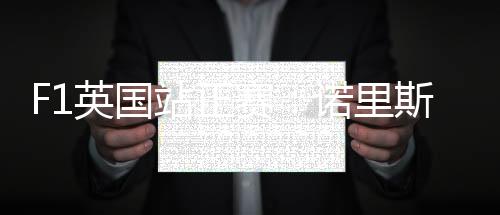 霍肯伯格2010年进入F1