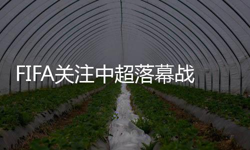 武汉卓尔和青岛中能遗憾降级