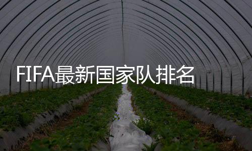 最新足第最佳1月排名上涨14位