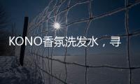 快排公司十年历程，霸屏兔 seo 的崛起与坚守