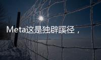Meta这是独辟蹊径，还是病急乱投医
？