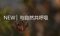 NEW ▏与自然共呼吸，与家人贴近自然澄净之美