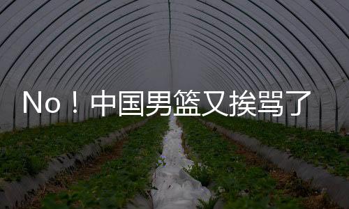 杨瀚森、又挨亚洲问题来了