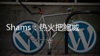 Shams：热火把鲍威尔视作和希罗&阿德巴约长期搭档的合适人选