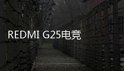 显示器上支持75×75mm VESA壁挂