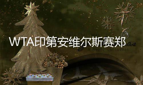 此后郑钦文虽然错失3个盘点