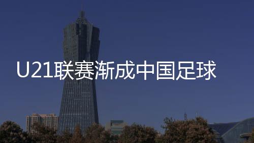 除各级国字号教练团队成员外
