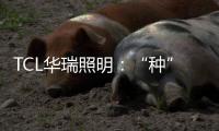 TCL华瑞照明�：“种”一片翠绿，让生活和工作更添生机