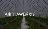 快排公司十年历程，霸屏兔 seo 的崛起与坚守