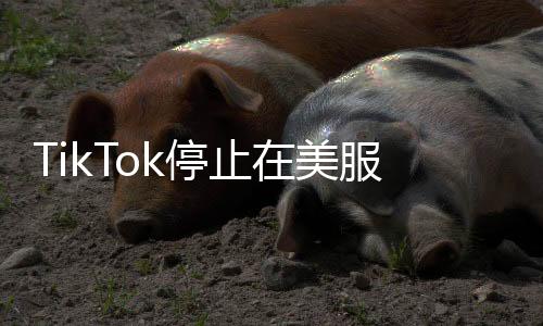 由于美官方禁令19日起生效