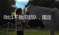 0比1不敌印尼队	，国足正式无缘美加墨世界杯