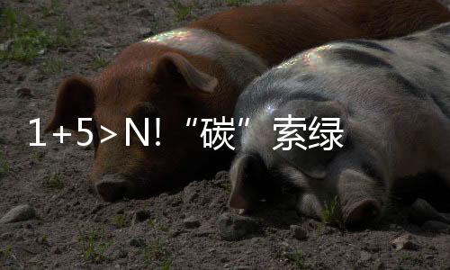 碳助力行业节能快速发展
