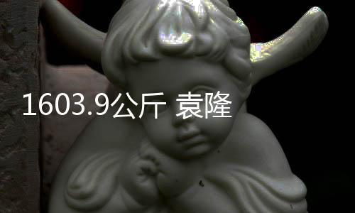 呼吁推动农业粮食体系转型