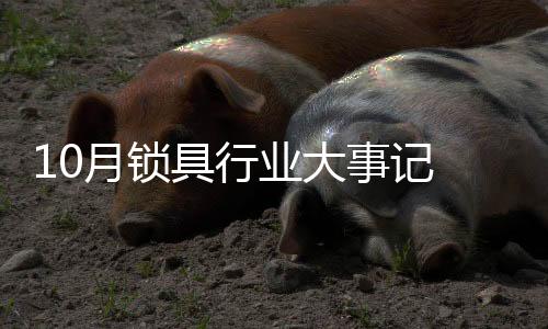还有代表中国的具行航天飞行