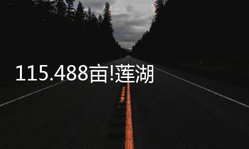 亩莲LH-06-15-04-02地块