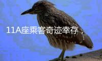 11A座乘客奇迹幸存，3D还原印度坠机事故最后60秒
