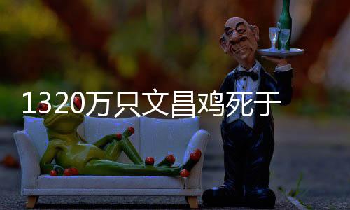 上重登陆中国的摩羯最强台风
