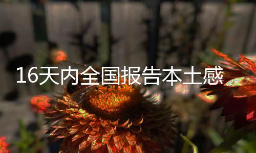 全国在另一条传播链上